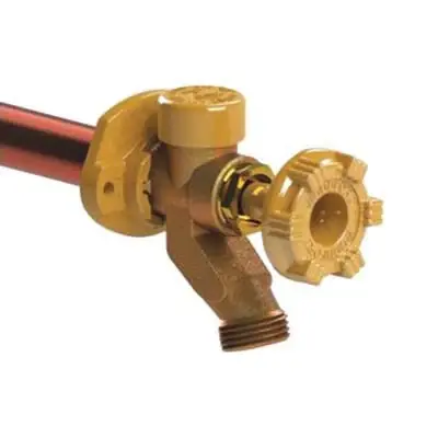 Woodford 17PX-8-MH-BP Anti-Siphon Freezeless Wall Faucet 8 Inch PEX Tube Inlet Discount