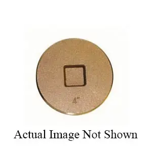 Buy Direct Legend Valve 302-607 3 Brass Raised S.H. Plug