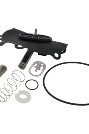 Asco 302253 Rebuild Kit for 8320 DC Series Holiday Sale