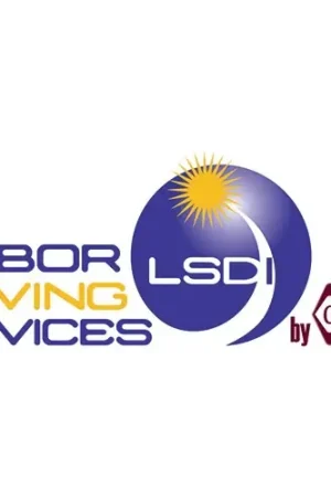 Get Yours Labor Saving Devices LS-51-160 the Magnetic Finger