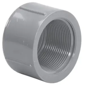 Lasco 9848-020 Cap SCH80 2 in FPT Top Pick