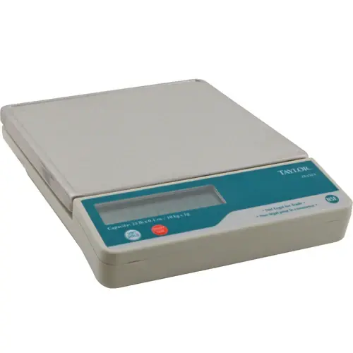 Clearance Taylor Thermometer TE22FT 7.2 Sq in Portion Scale