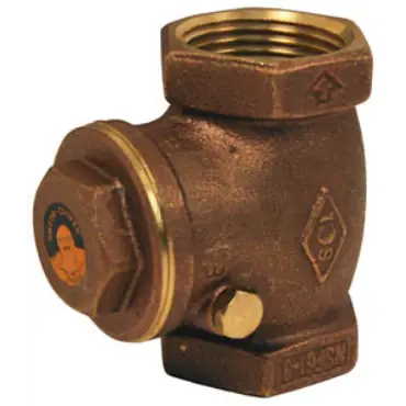 Luxury Dixon Valve & Coupling SWCV200 Check Valve 2 Female NPT x Female NPT 200 psi
