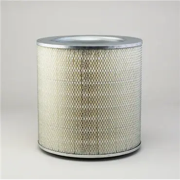 Final Sale Donaldson P131404 Primary Filter