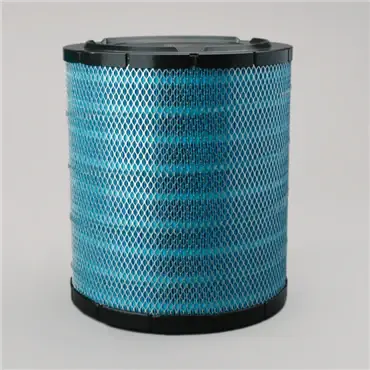 Big Sale Donaldson DBA5069 Primary Filter