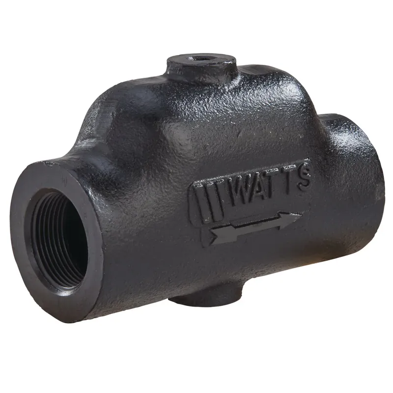 Watts Regulator AS-M1-2 Air Scoop 2 Inch Threaded Today Only
