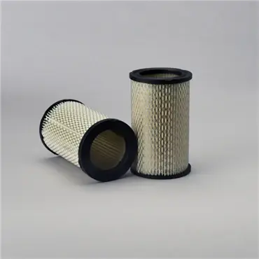 Donaldson P526873 Primary Filter Hot Deal