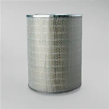 Donaldson P181039 Primary Filter Instant Buy