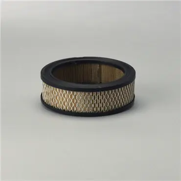 Donaldson P528231 Primary Filter Seasonal Sale