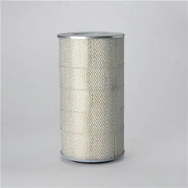 Donaldson P539473 Primary Filter Bargain