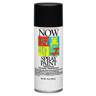 Buy Direct Krylon I21213007 NOW Spray Paint 16 oz Replacement MPN