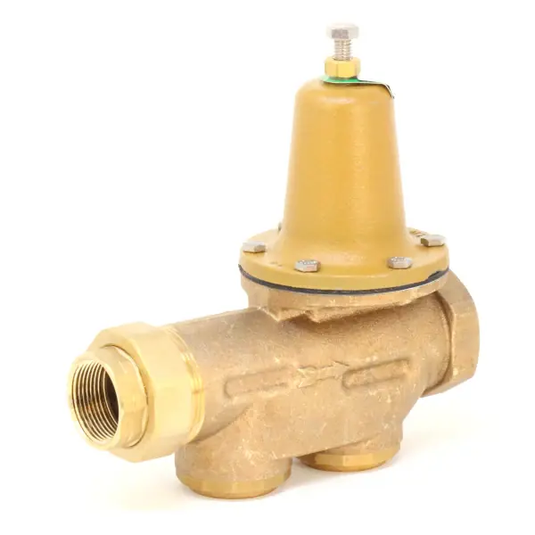 WATTS LF25AUBZ3-114 Shop Now
