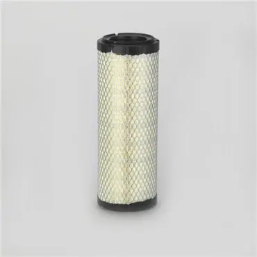 Donaldson P772578 Primary Filter One Day Deal