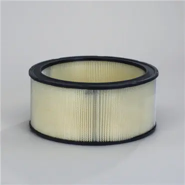 Donaldson P524369 Primary Filter In Demand