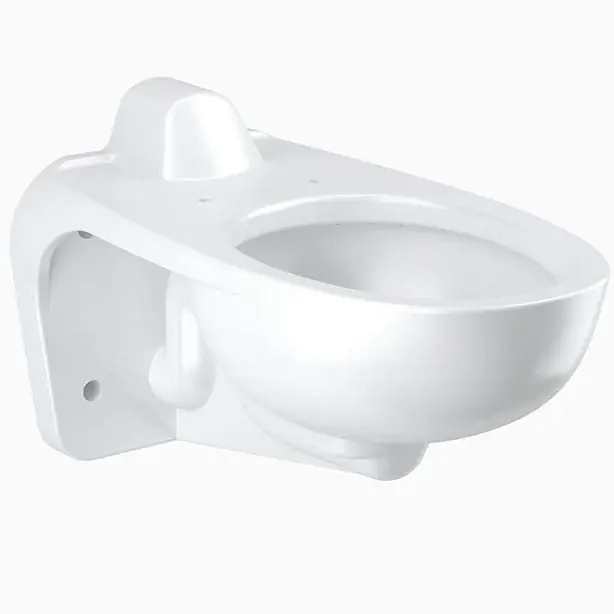 Deal Sloan 2102469 ST2469A Closet Fixt ASM WMRS UNIV (2.0)