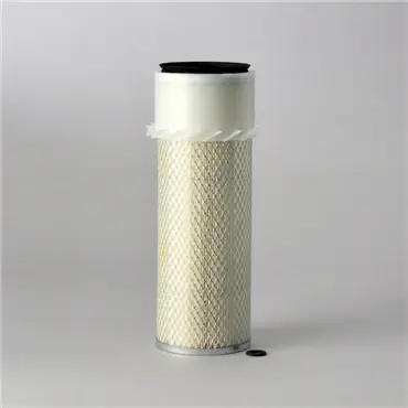 Donaldson P182062 Primary Filter Budget