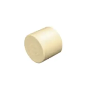 Affordable Charlotte CTS 2116 FlowGuard Gold Tan CPVC Cap, 1/2 in CTS, Socket