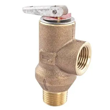 WATTS LF53L-125-12 Bargain