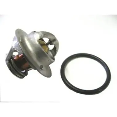 Latest Laars 2400-029 Thermostat & O-Ring