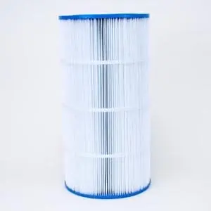 Time-Limited Hayward CX900RE Hayward Replacement Element -C900- | CX900RE