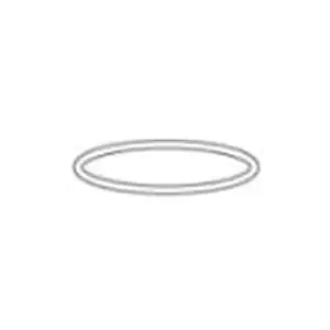 Waterway 805-0436 O-Ring 6 Trap Lid Certified