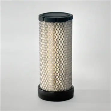 Instant Buy Donaldson P621642 Primary Filter