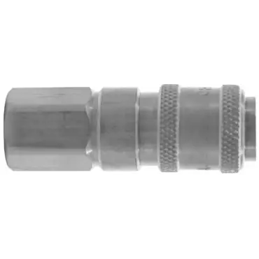 Time-Limited Dixon Valve & Coupling 1AF1-B | 101916396 - 1/8IN Brass Fem NPT Coupler