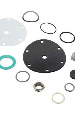 Bargain Watts 0125123 1 in. Valve Repair Kit