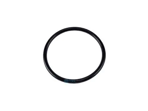 Pentair U9-266 Diffuser O-Ring | O-Ring | U9-266 Holiday Sale